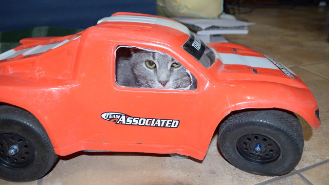 SC10 with a cat inside